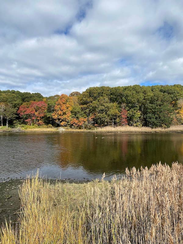 Boyden Heights Conservation Area - Image 3