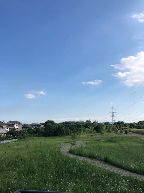 Area verde/gioco - Image 1