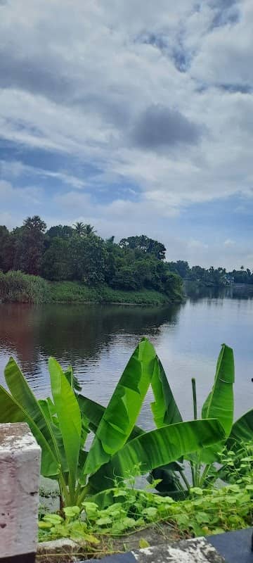 Chalakudy River View Point - Image 2