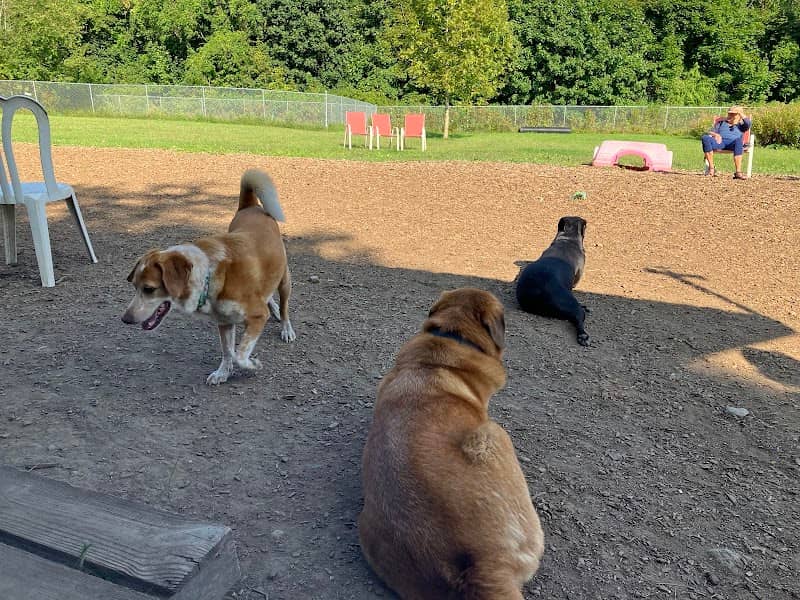 Thomaston Dog Park - Image 1