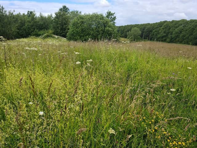 Preston Junction Nature Reserve - Image 2
