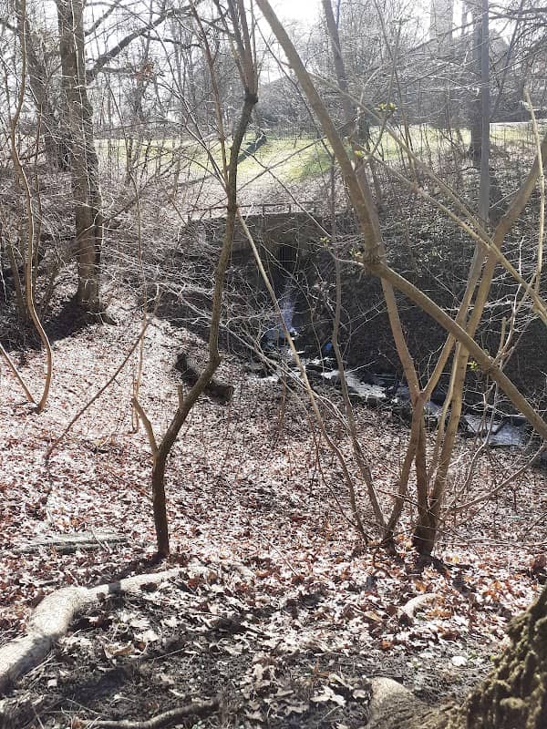 Der Brook - Image 2