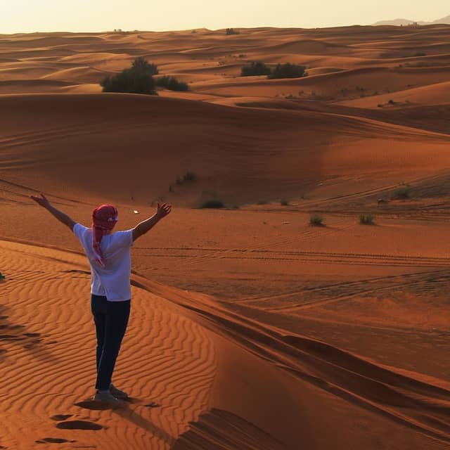 RED Desert Safari - Image 1