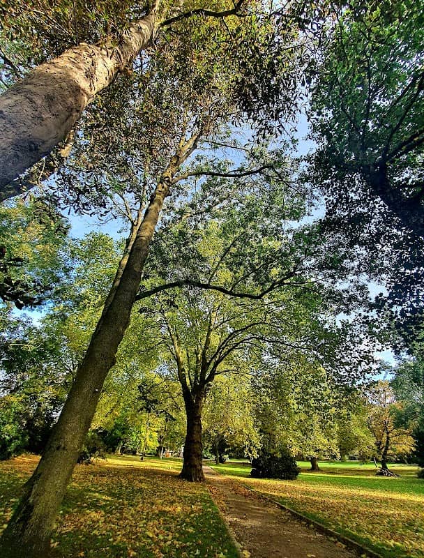 Park Werne - Image 2