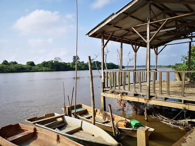 Parit Jarum Laut Tepi Sungai - Image 1