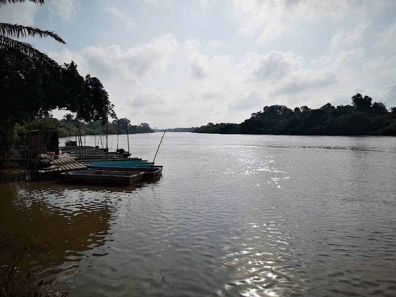Parit Jarum Laut Tepi Sungai - Image 2