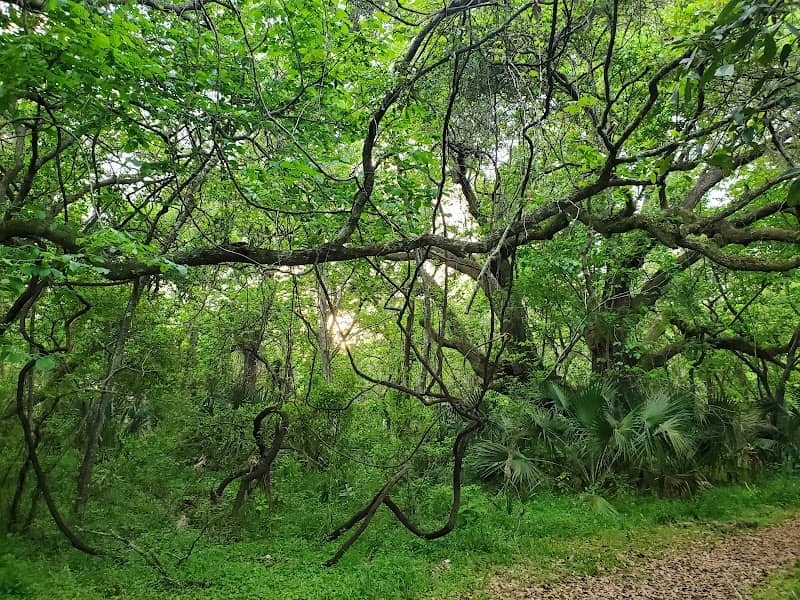 Indian Shell Mound Park - Image 2