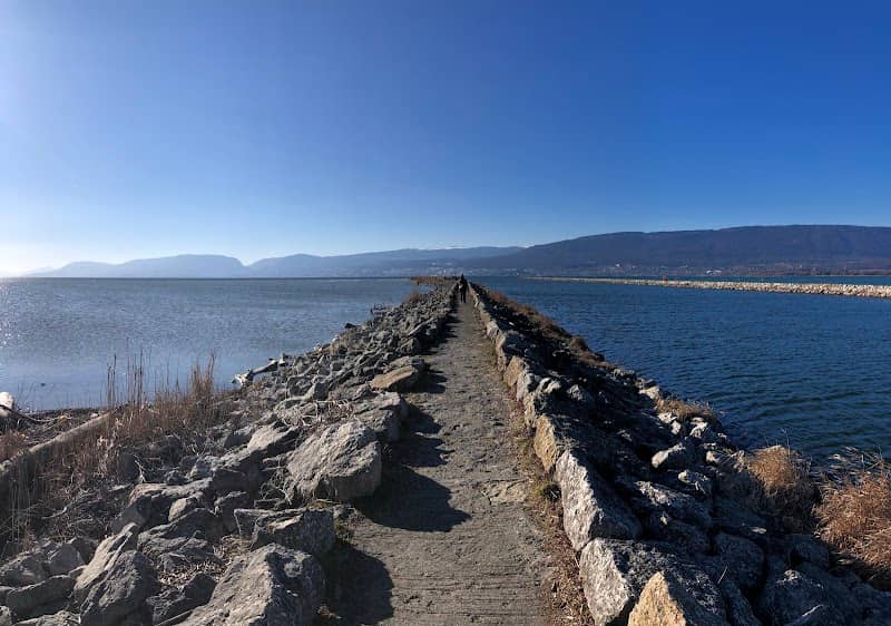 Jetée du canal de la Broye sur le Lac de Neuchâtel - Image 1