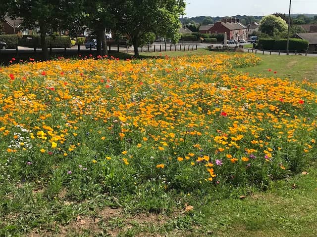 Town Green Recreation Ground - Image 1
