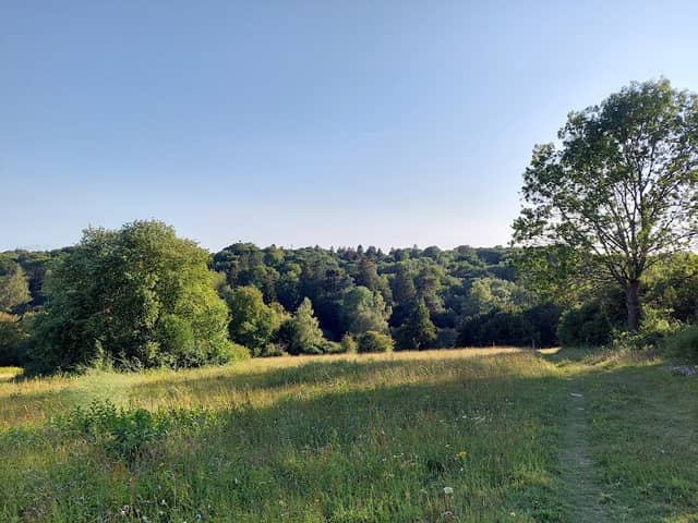 Chatsworth Park - Image 1
