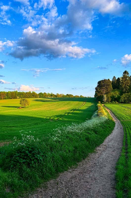 Chatsworth Park - Image 2
