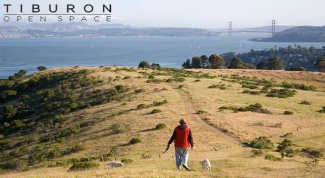 Tiburon Open Space Committee - Image 3