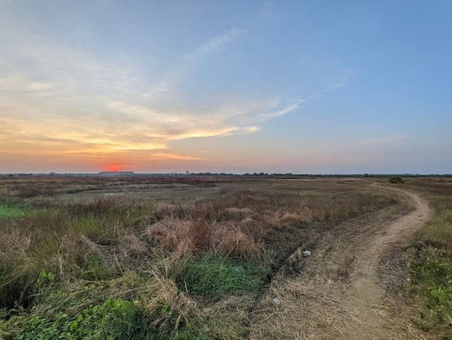 Virar wetlands - Image 1