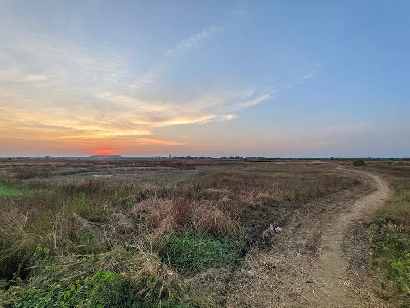 Virar wetlands - Image 1