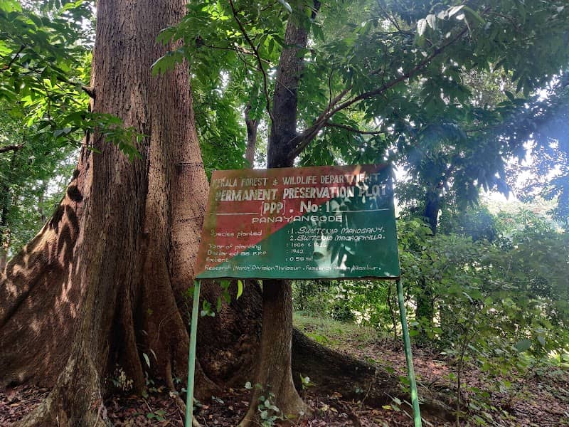 Chandrakandam - Image 2