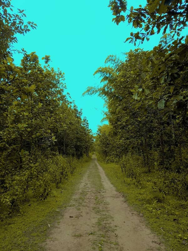 Chandrakandam - Image 3
