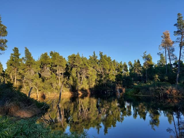 Lake - Image 1