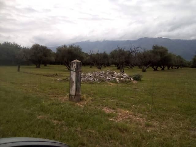 Establecimiento Merlín - Image 1