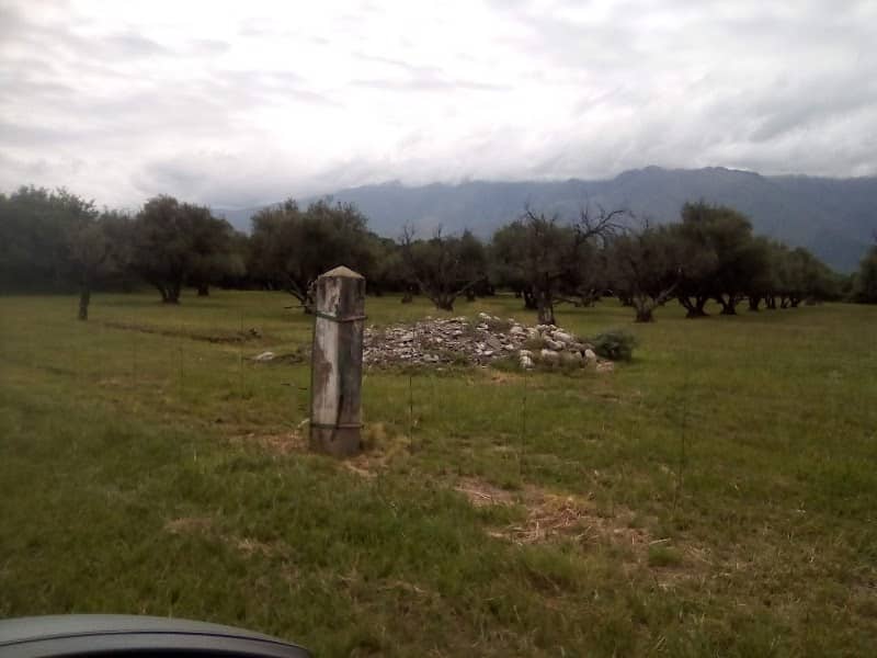 Establecimiento Merlín - Image 1
