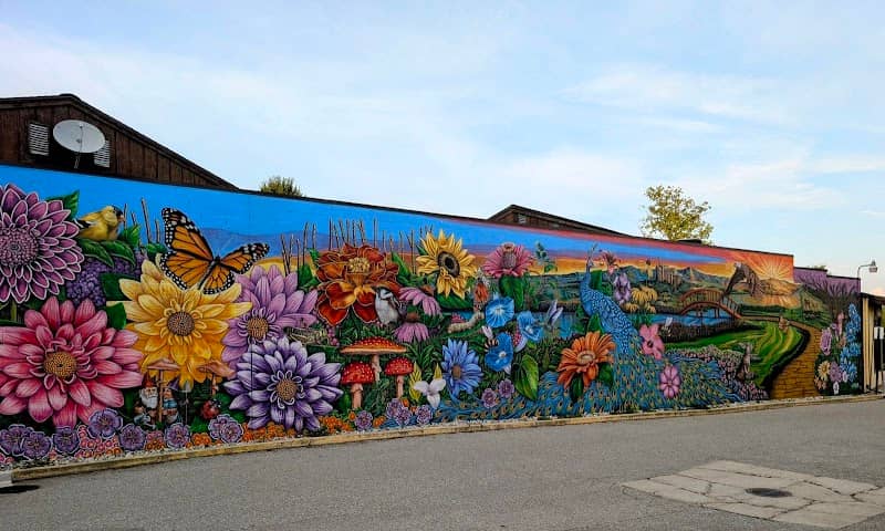Nature Mural - Image 1