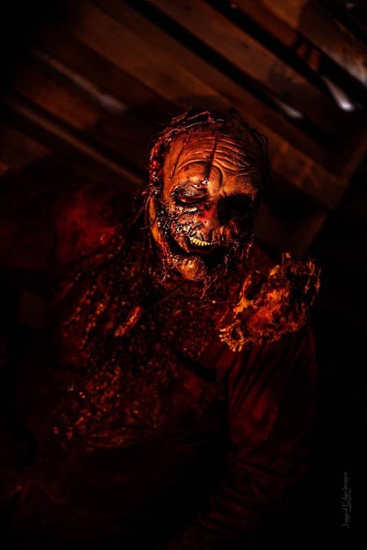 FEAR FIELD HAUNT - Image 2