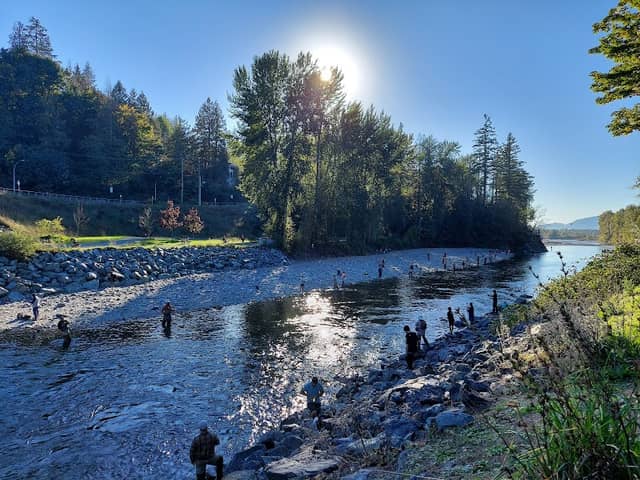 Vedder Park - Image 2