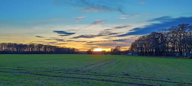Sunset Viewpoint Fields of Cappel - Image 1