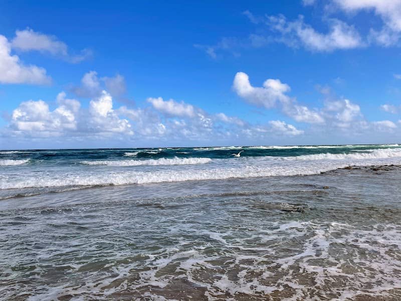 Ocean Reef Park - Image 1