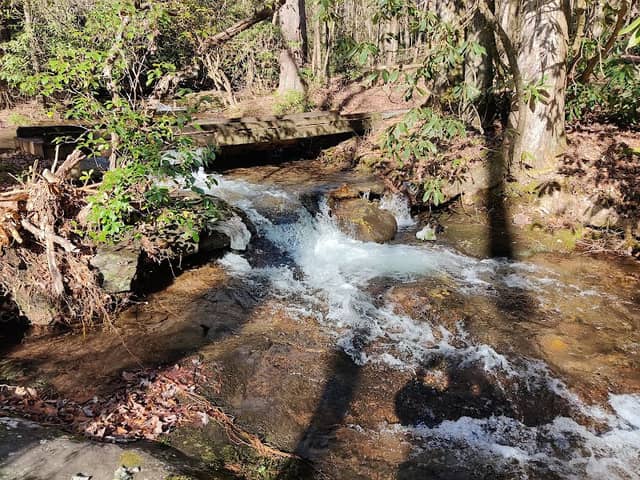 Little Ridge Creek Falls - Image 1