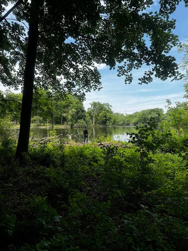 Oriole Grove Forest Preserve - Image 2