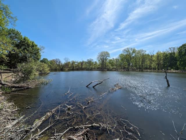 Oriole Grove Forest Preserve - Image 1