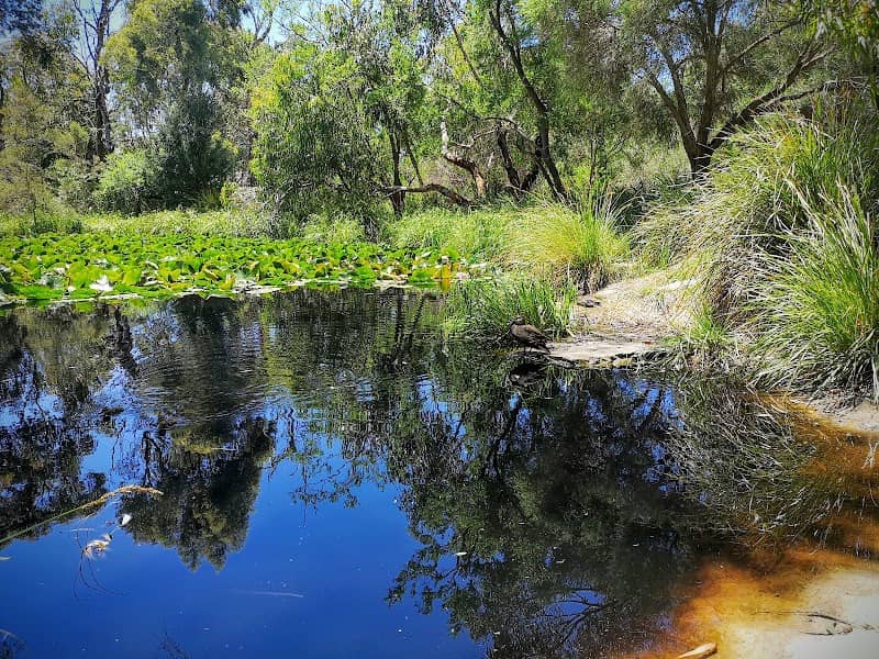 Buckanbe Park - Image 1