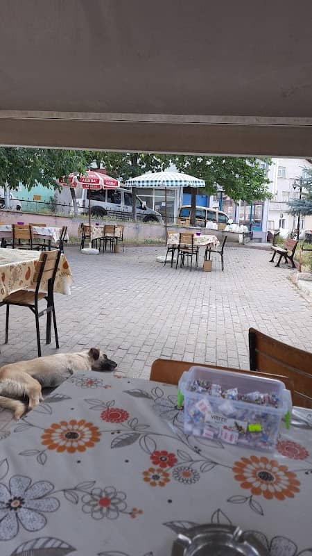 Şelaleli park - Image 1