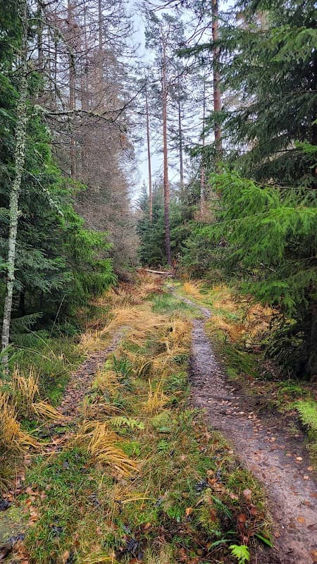 Kleemiss Hochmoor - Image 1