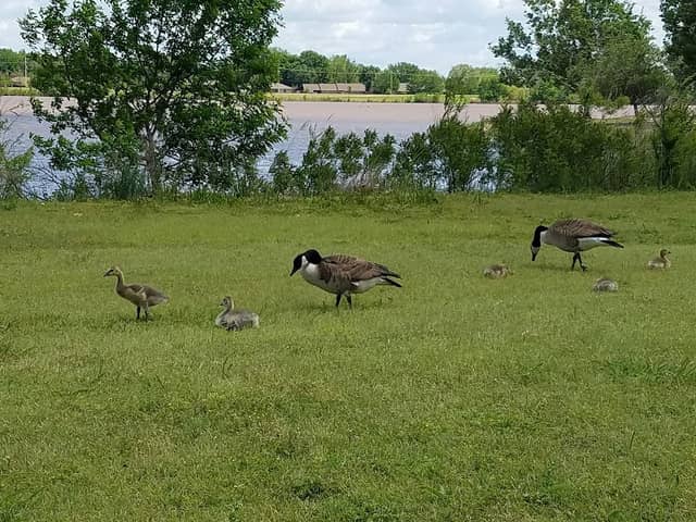 Boomer Lake Park - Image 2