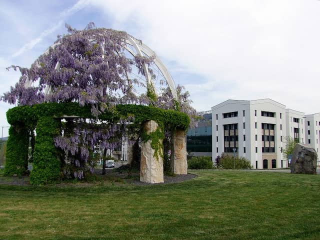 Lugas - Image 1