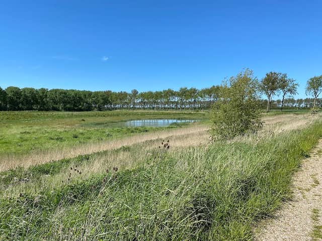 Erasmus' Forest - Image 1