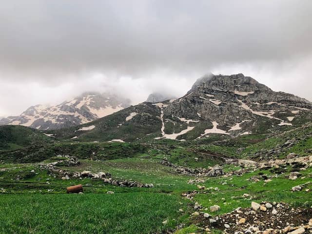 ڕیشەک - Image 1