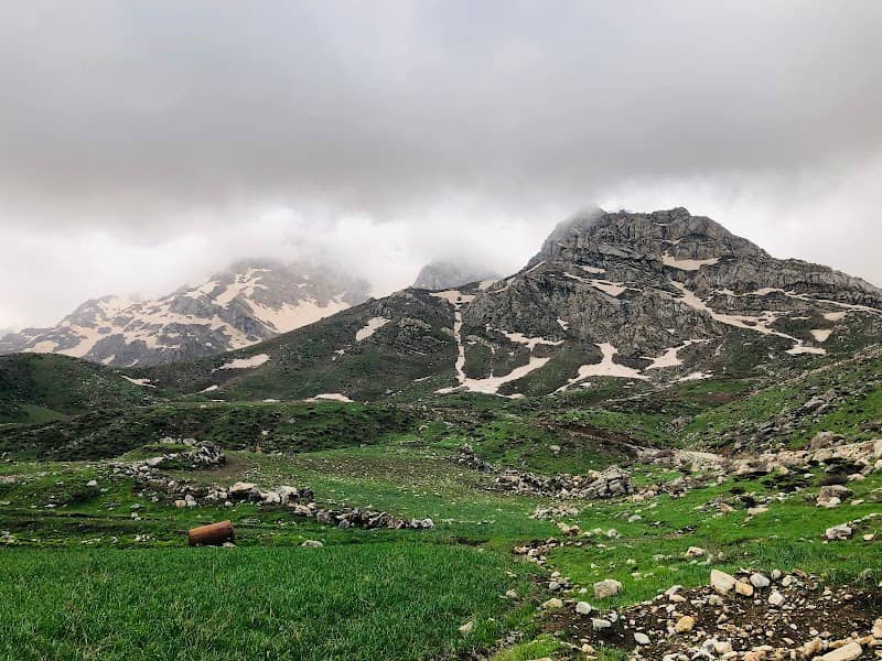 ڕیشەک - Image 1
