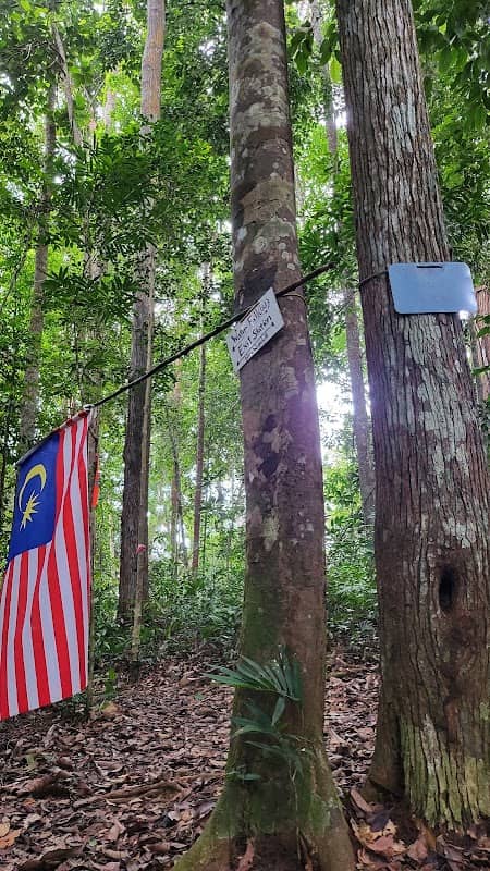Bukit Pelindung D Embassy Hiking Trail - Image 2