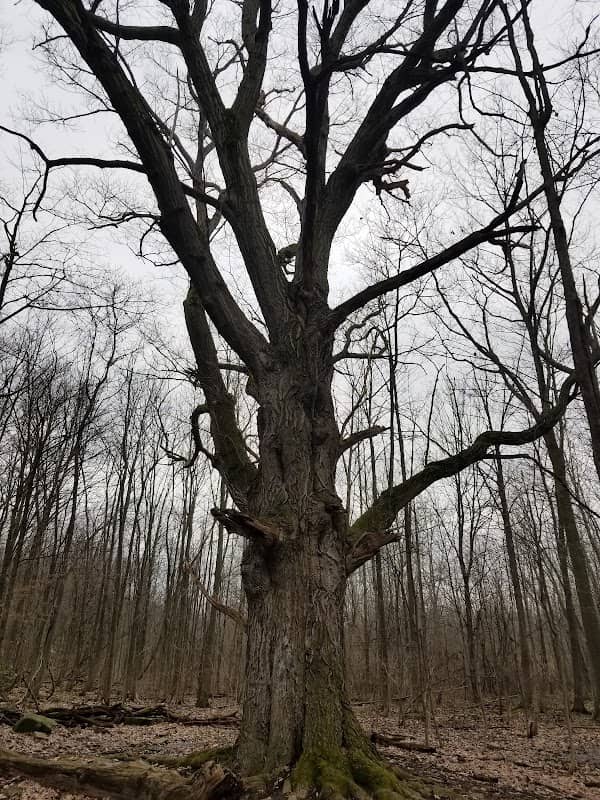 Lockport - Image 1