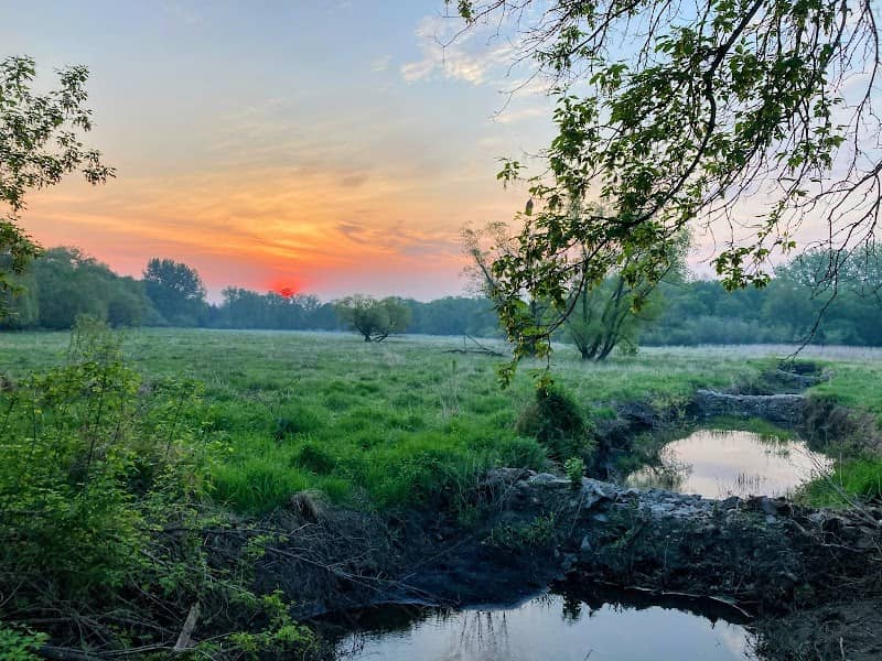 Woodbury Conservation Area - Image 1