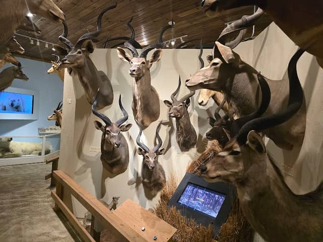 Lewis County Museum - Image 1