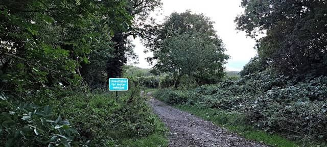 Collett's Bottom Woods - Image 2