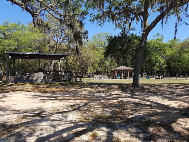 Under The Oaks Park - Image 2