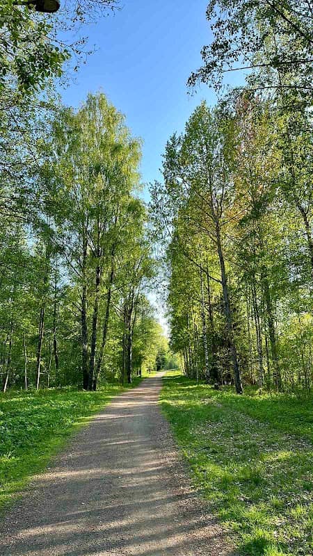 Noropuisto - Image 2