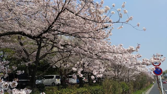 Minuma Park - Image 2