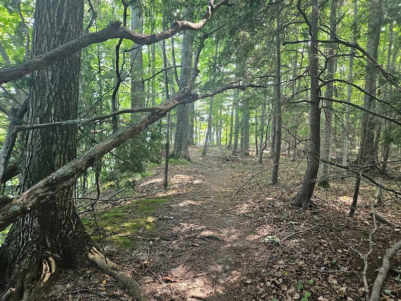 Old Mission State Park - Image 2