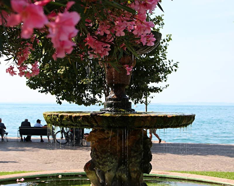 Fountain with fish - Image 2
