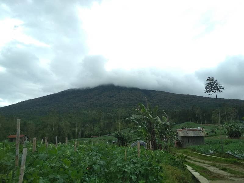 Knc Adventure - Image 1